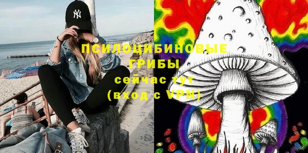 дмт Арсеньев