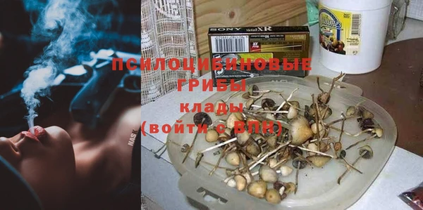амф Алзамай